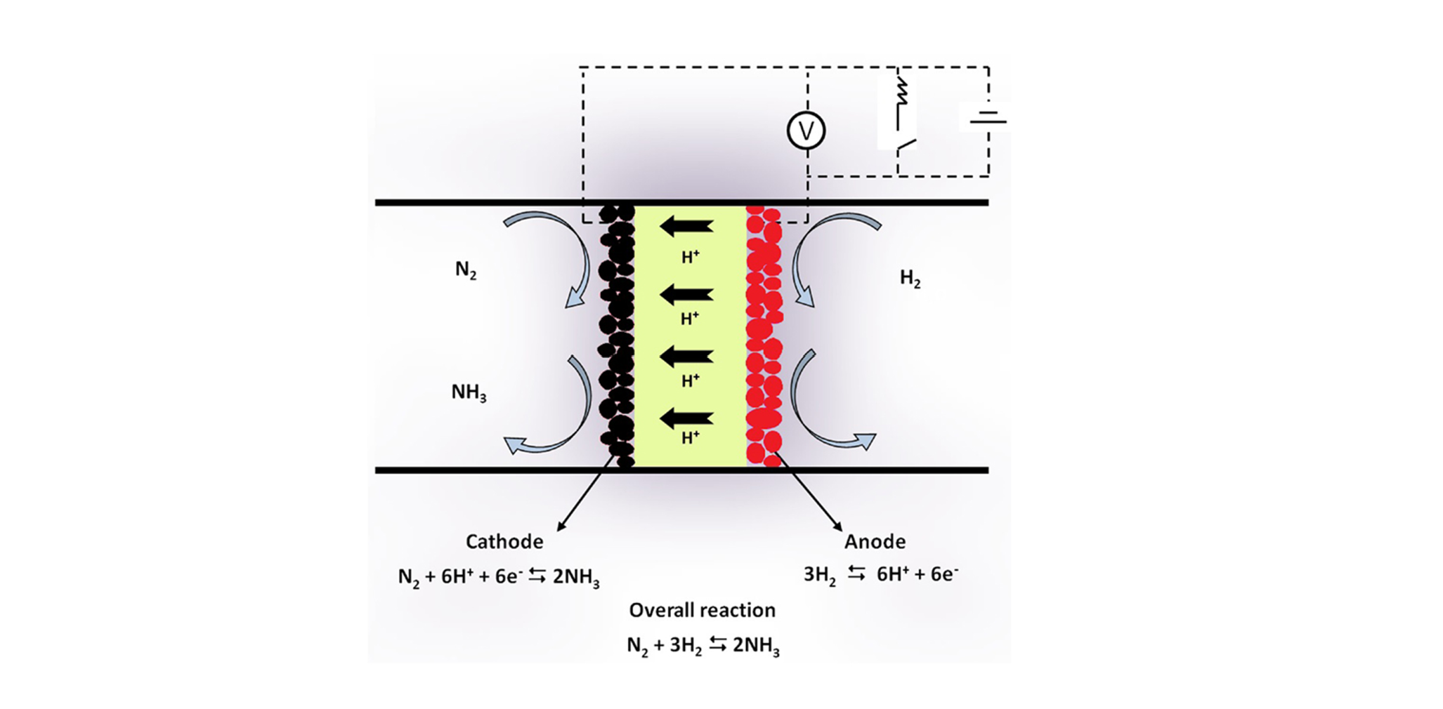 Ammonia as a hydrogen carrier