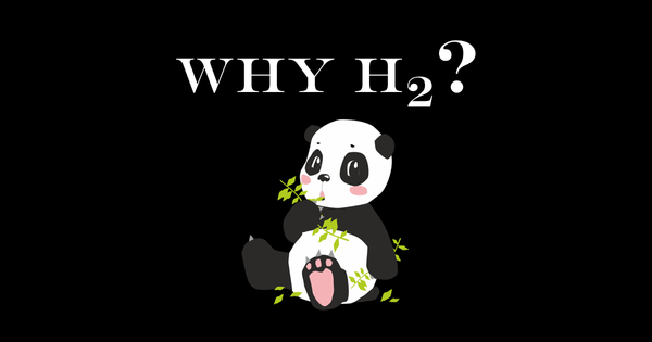 Why Hydrogen?